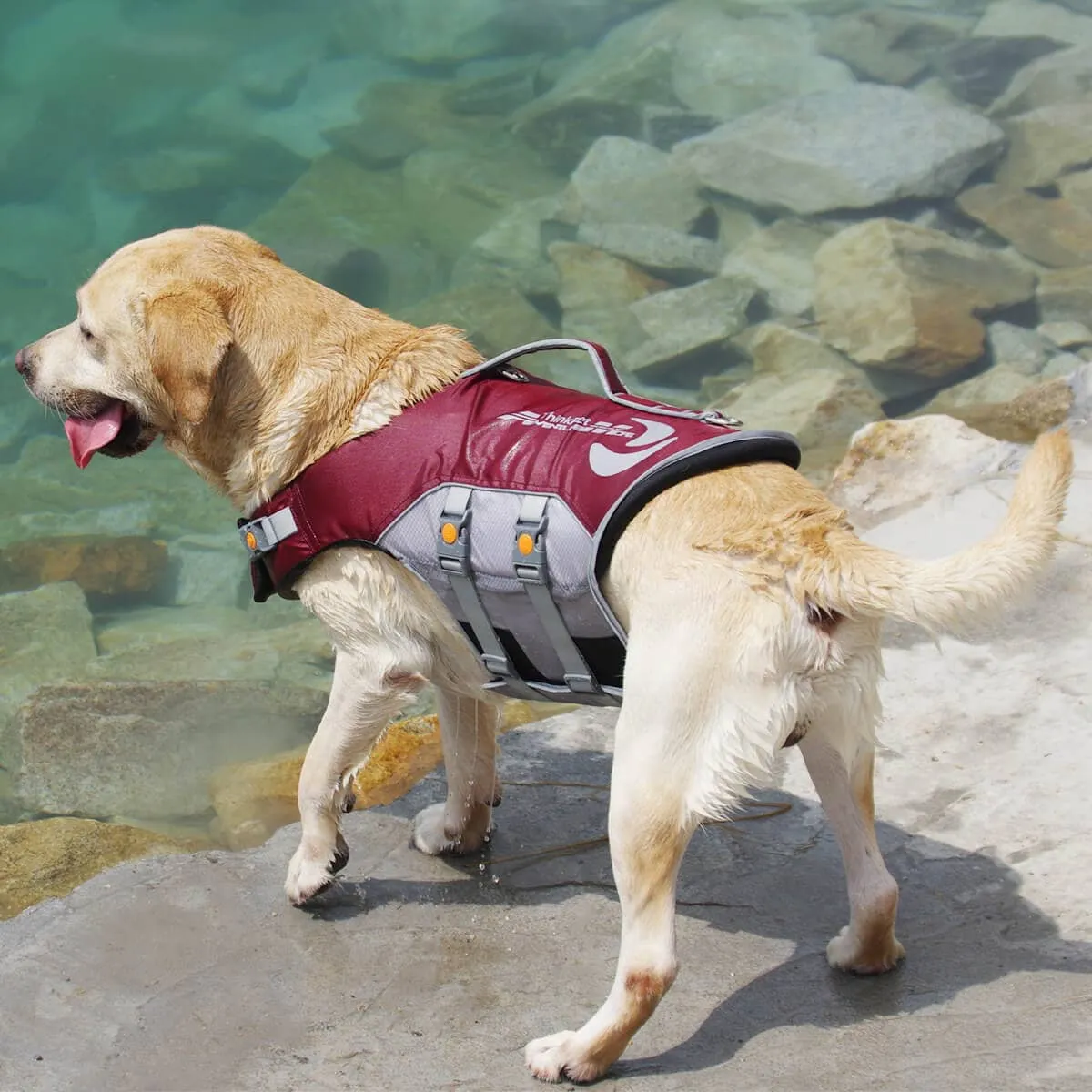 Dog Life Jacket & Vest for Swimming With Chin Float | ThinkPet