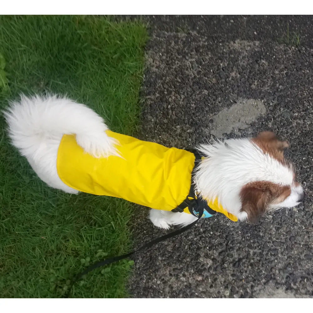 Dog Rain Jacket