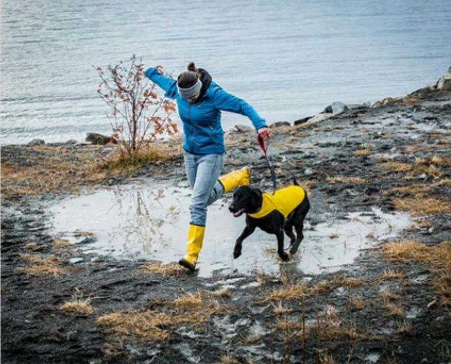 Dog Rain Jacket