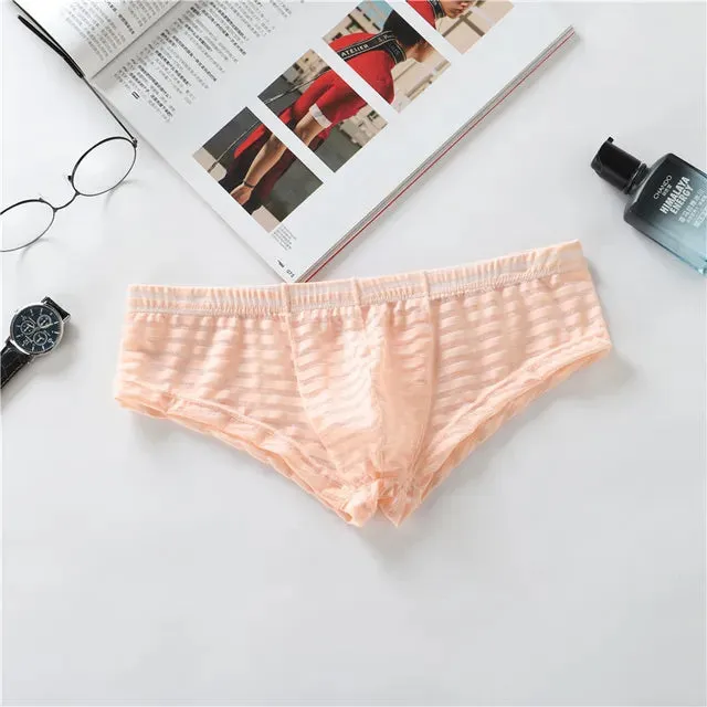 Low Waisted Quick Dry Transparent Brief