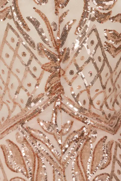 Tiara Rose Gold Sheer Sequin Embellished Transparent Mini Dress